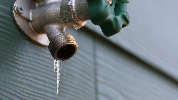 Best Clogged Drain Plumber  in Mayflower, AR